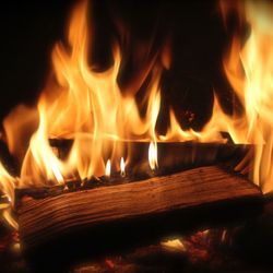 AAA firewood sales and delivery