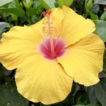 Miller Greenhouse - Nurseries & Gardening Near Me - Grand Blanc, Michigan Miller Greenhouse - Nurseries & Gardening Near Me - Grand Blanc, Michigan