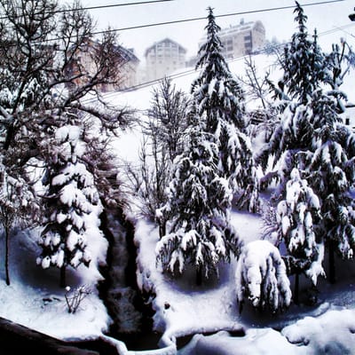 Sierra Nevada by null