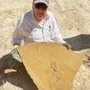 Photo of Fossil Lake Safari by FossilEra Adventures