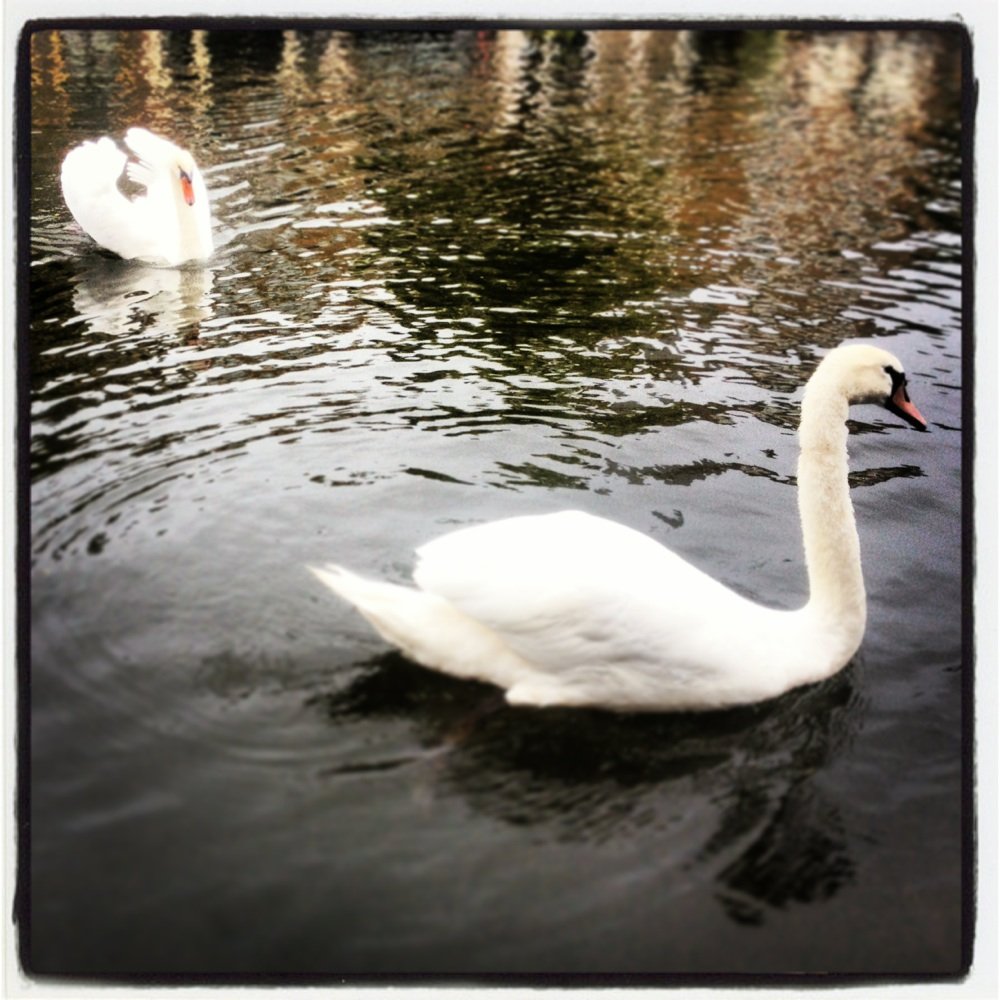 Oude Vest - Landmarks & Historical Buildings Near Me - Leiden, ZH