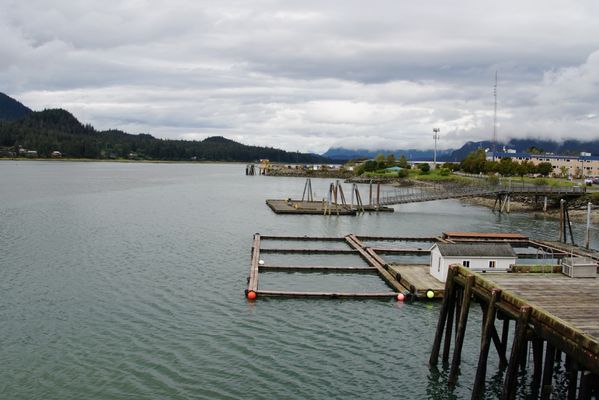 DIPAC Macaulay Salmon Hatchery by null