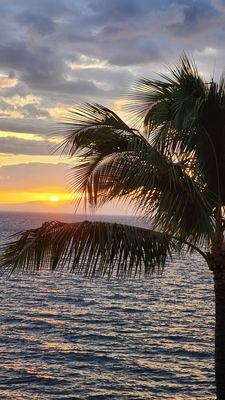 Mana Kai Maui by null