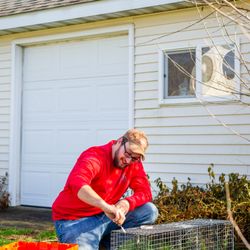 Jody's Wildlife & Pest Services