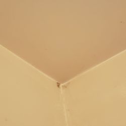Sword Motor Inn - Mold in the bathroom