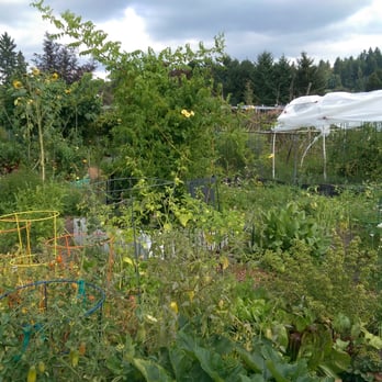 21 Acres - Out in the farm. - Farmers Market Near Me - Woodinville, Washington