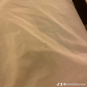Econo Lodge - Stains on every pillow - Hotels Near Me - Paw Paw, Michigan Econo Lodge - Stains on every pillow - Hotels Near Me - Paw Paw, Michigan