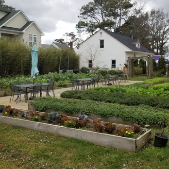 Commune - Garden behind Escoteric and Commune - Cafes Near Me - Virginia Beach, Virginia