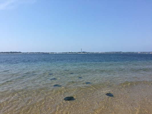 Long Point Beach by null