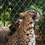 Photo of Panther Ridge Conservation Center