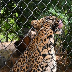 Panther Ridge Conservation Center