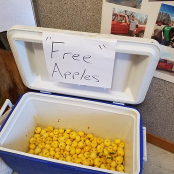 Summerville Store and Cafe - The day we came through, this was by the door. The little golden apples were sweet and delicious, a real treat on our journey. - Cafes Near Me - Shadehill, South Dakota Summerville Store and Cafe - The day we came through, this was by the door. The little golden apples were sweet and delicious, a real treat on our journey. - Cafes Near Me - Shadehill, South Dakota