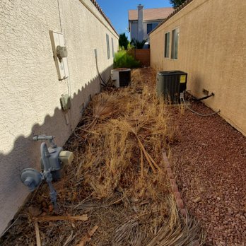 Jr's Lawn Maintenance - Before side of house - Landscaping Near Me - Henderson, Nevada