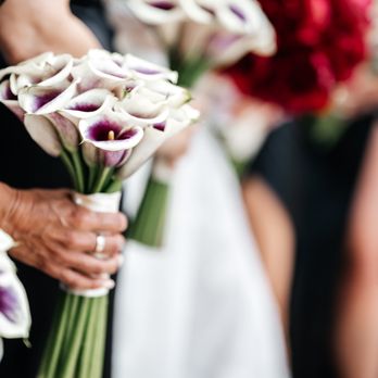 Petal Productions - Party & Event Planning Near Me - Miami, Florida Petal Productions - Party & Event Planning Near Me - Miami, Florida