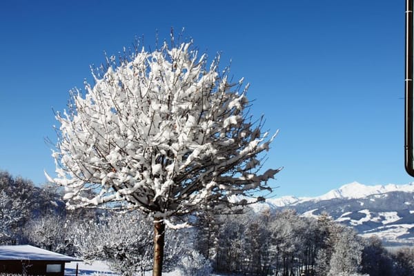 Hotel Petrus by null