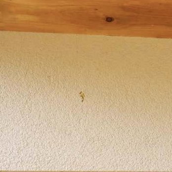 BlueKey Design Build - They damaged the wall with crack - General Contractors Near Me - London, Ontario BlueKey Design Build - They damaged the wall with crack - General Contractors Near Me - London, Ontario