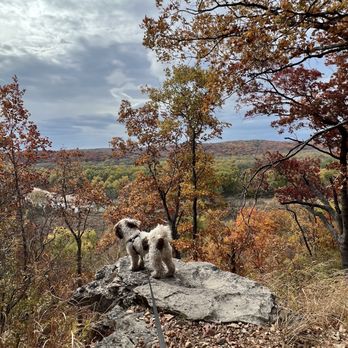 Castlewood State Park - Parks Near Me - Ballwin, Missouri