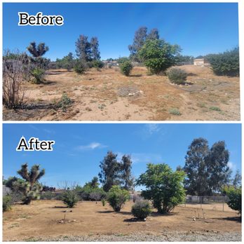 Daniel's Affordable Landscaping - Landscaping Near Me - Hesperia, California