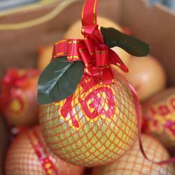 大澳 - Pomelos for a Happy New Year