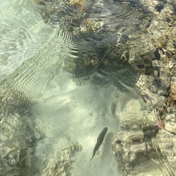 Lanikai Beach - Fishes!! - Beaches Near Me - Kailua, Hawaii Lanikai Beach - Fishes!! - Beaches Near Me - Kailua, Hawaii