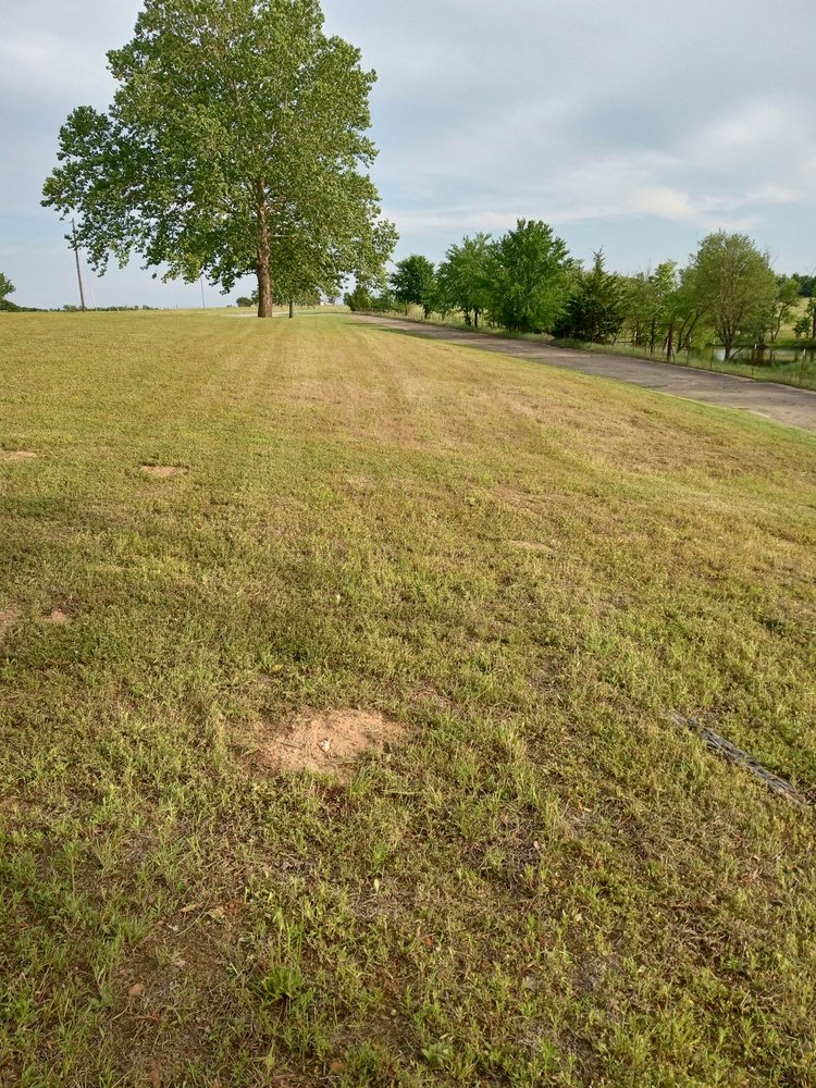 Southern Landscape - tree service in Wichita, KS