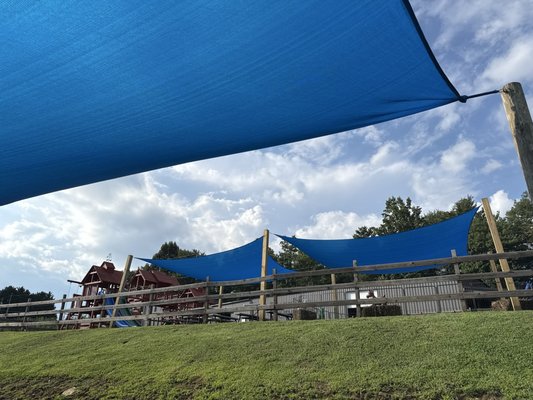 Justus Orchard by null