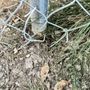 Photo of Campanella Fence