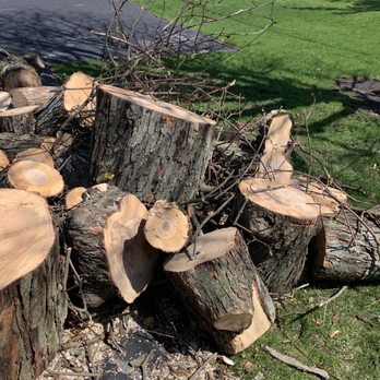 Alejandres Tree Service - Wood after it was delivered to my in laws - Tree Services Near Me - Round Lake Beach, Illinois Alejandres Tree Service - Wood after it was delivered to my in laws - Tree Services Near Me - Round Lake Beach, Illinois