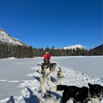 Snowy Owl Sled Dog Tours - Our team - Tours Near Me - Canmore, Alberta Snowy Owl Sled Dog Tours - Our team - Tours Near Me - Canmore, Alberta