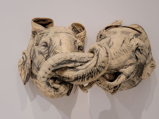 Tampa Museum of Art by null