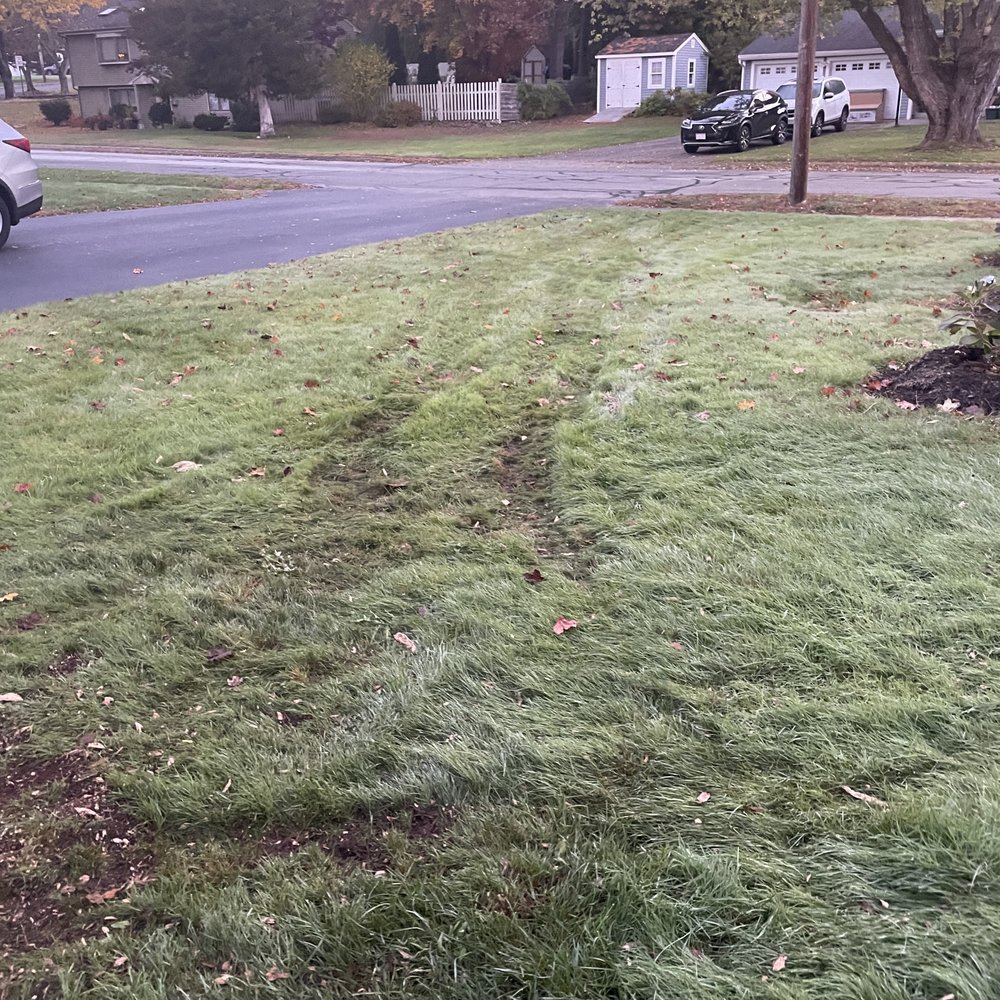 East Coast Tree Service - tracks from the street to the stump - Tree Services Near Me East Coast Tree Service - tracks from the street to the stump - Tree Services Near Me