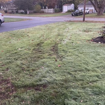 East Coast Tree Service - tracks from the street to the stump - Tree Services Near Me East Coast Tree Service - tracks from the street to the stump - Tree Services Near Me