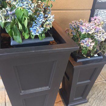 Hampton Inn Limerick-Philadelphia Area - Pathetic dead plants will greet you at the door - Hotels Near Me - Limerick, Pennsylvania Hampton Inn Limerick-Philadelphia Area - Pathetic dead plants will greet you at the door - Hotels Near Me - Limerick, Pennsylvania