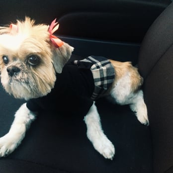 Pooch Pawlor Spa - Pet Groomers Near Me - Glendale, California