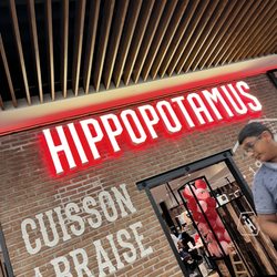Hippopotamus