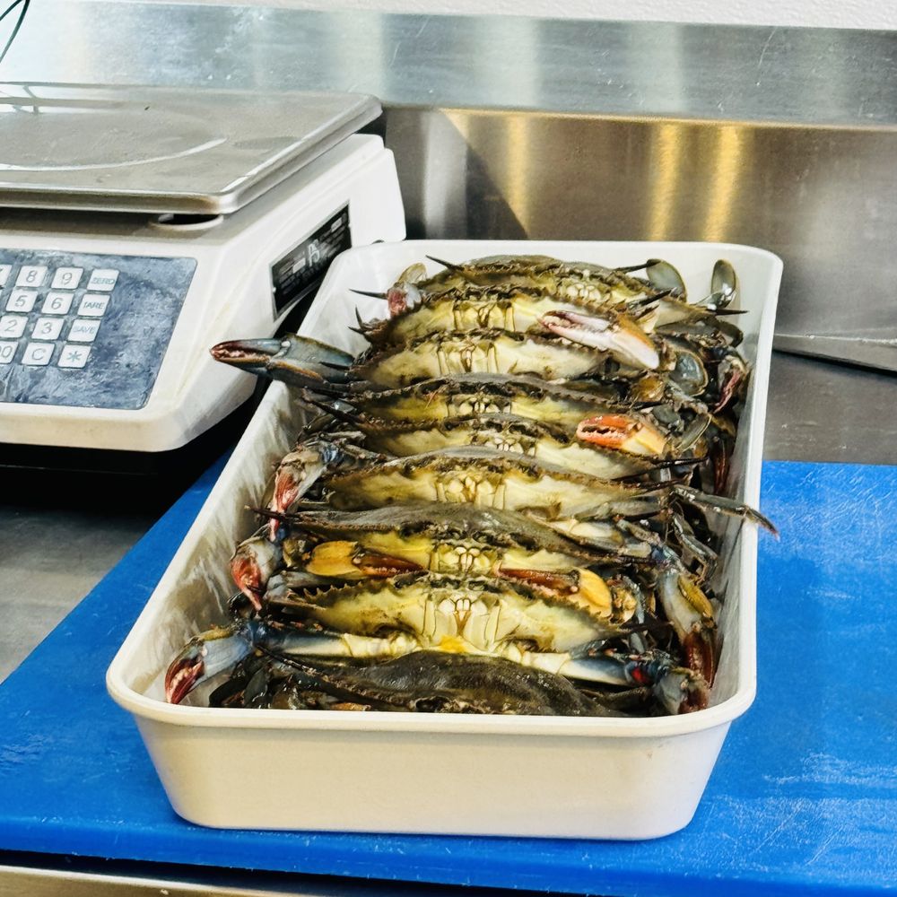 North Market - Fresh Fish - Farmers Market Near Me - Columbus, Ohio