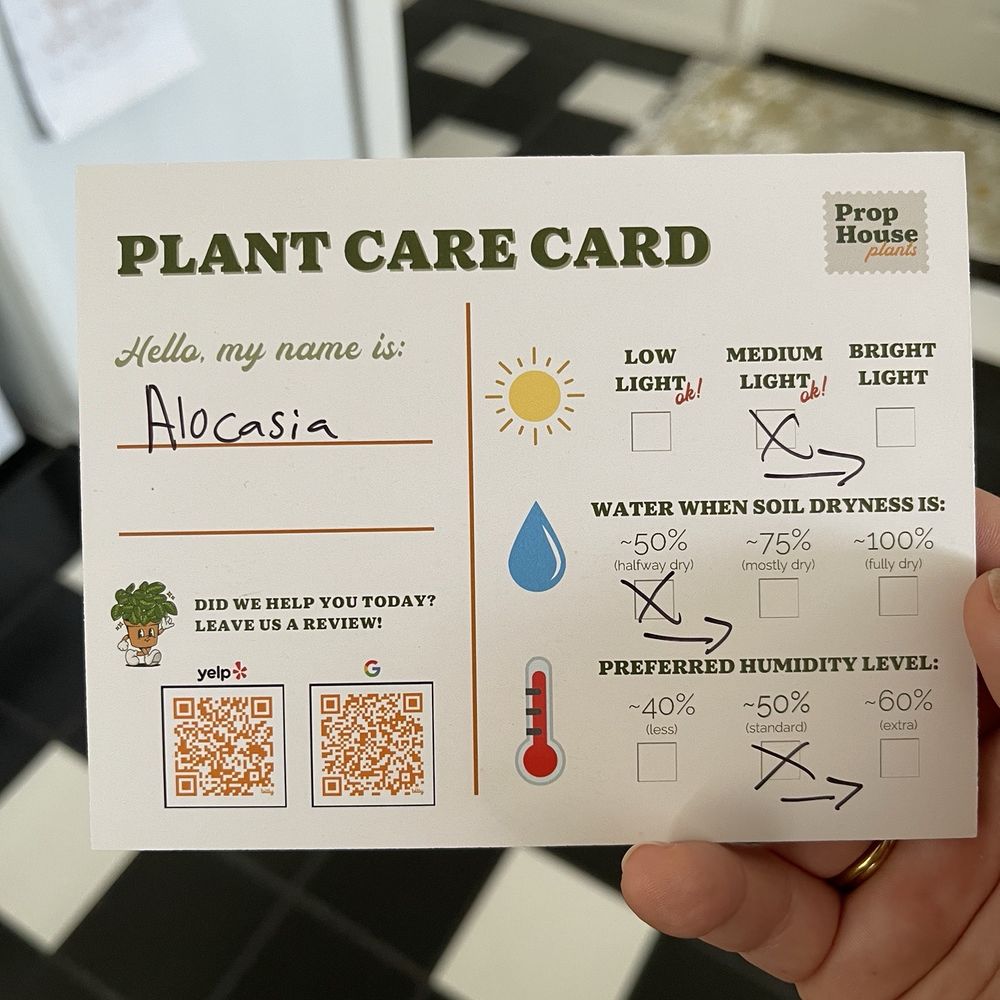 Prop House Plants - Nurseries & Gardening Near Me - Los Angeles, California