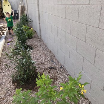Moon Valley Nurseries - Nurseries & Gardening Near Me - Mesa, Arizona