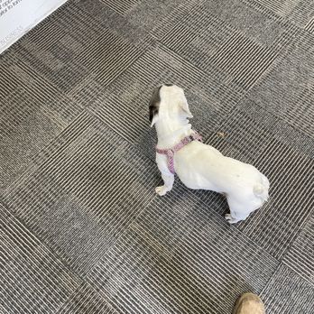 Next Day Signs - This lil guy was hanging out. - Printing Services Near Me - Tampa, Florida Next Day Signs - This lil guy was hanging out. - Printing Services Near Me - Tampa, Florida