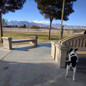Barkin' Basin Dog Park - Dog Parks Near Me - Las Vegas, Nevada