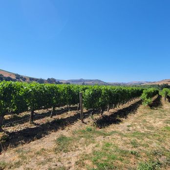 Lafond Winery and Vineyards - Wineries Near Me - Buellton, California Lafond Winery and Vineyards - Wineries Near Me - Buellton, California