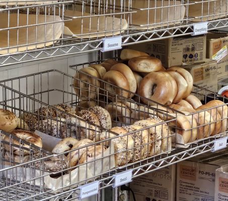 Boichik Bagels FiDi Battery by null