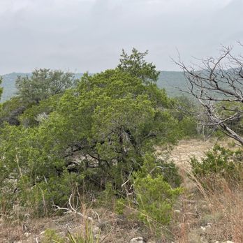River Place Nature Trail - Hiking Near Me - Austin, Texas