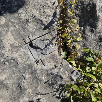 Devonian Fossil Gorge - Example of someone poaching fossils. Don't do this! - Hiking Near Me - Iowa City, Iowa Devonian Fossil Gorge - Example of someone poaching fossils. Don't do this! - Hiking Near Me - Iowa City, Iowa