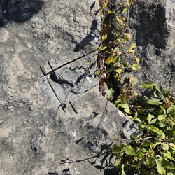 Devonian Fossil Gorge - Example of someone poaching fossils. Don't do this!