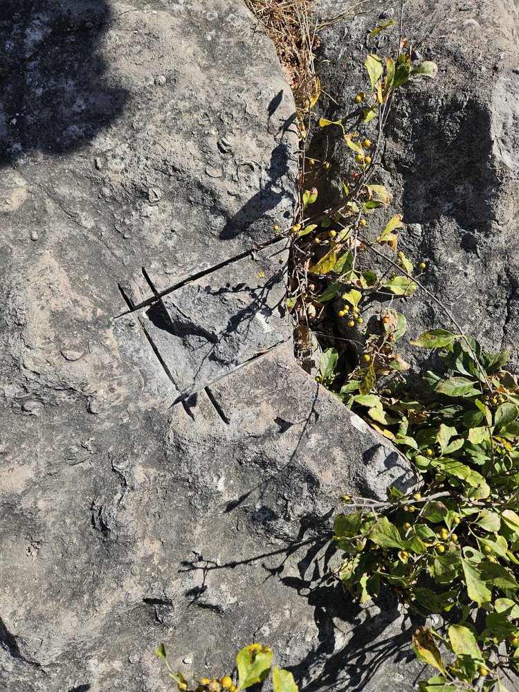 Devonian Fossil Gorge Image