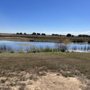 Photo of Happy Tails Dog Park