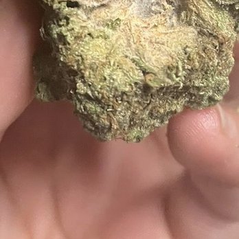 LA Flowers - Mold - Cannabis Dispensaries Near Me - Compton, California