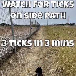 Half Moon Bay Dog Park - I have never had problems in the dog park, but won't be walking on the path again. June 2022