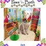 Photo of Paws in the Bath
